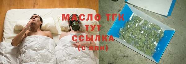 винт Гусь-Хрустальный