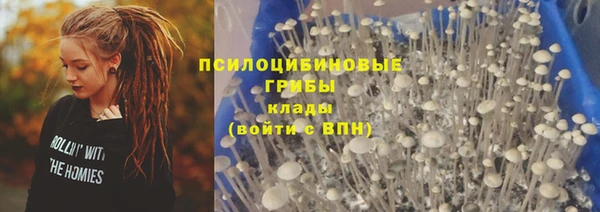 бутират Гусев